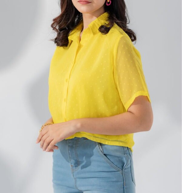 Chiffon Button Down Crop Top for Women | TFC-WT-001 - Image 2